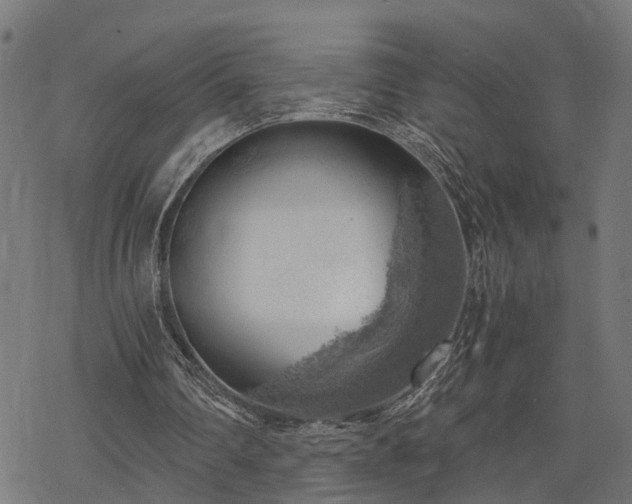 X0000068850290200605081222