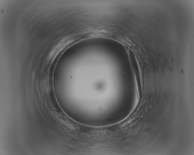 X0000068850291200605081222