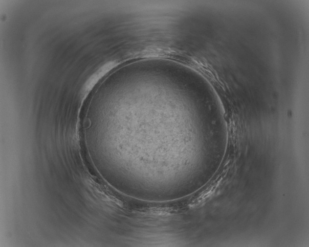 X0000068850292200605081222