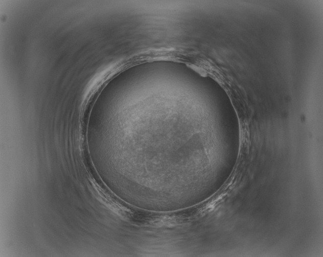 X0000068850293200605081222