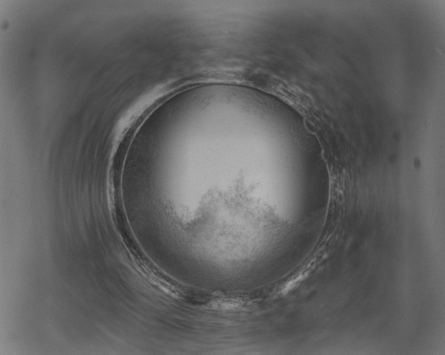 X0000068850294200605081222