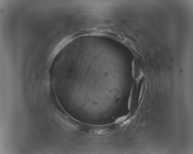 X0000068850295200605081222