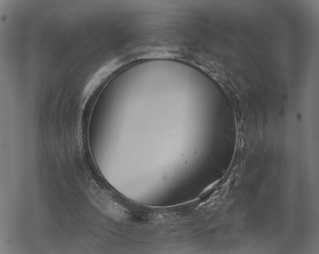 X0000068850296200605081222