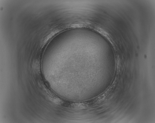 X0000068850297200605081222