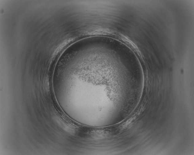 X0000068850298200605081222