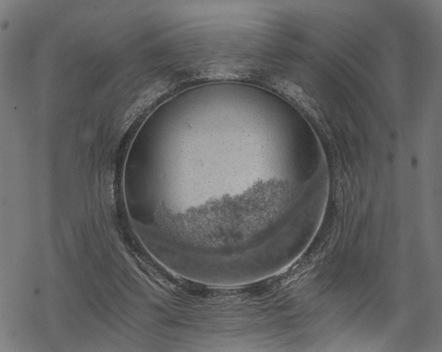 X0000068850299200605081222