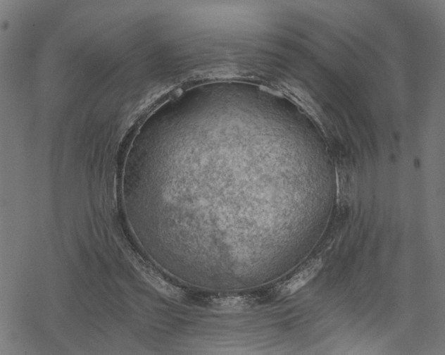 X0000068850301200605081222