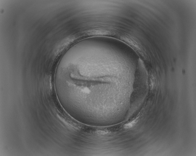 X0000068850302200605081222