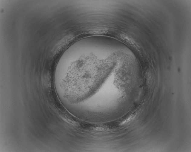 X0000068850303200605081222