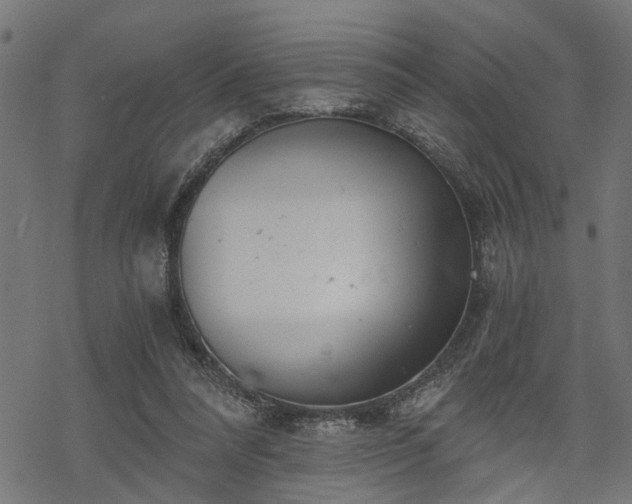 X0000068850304200605081222