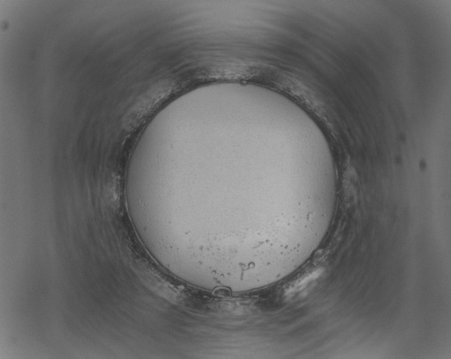 X0000068850305200605081222