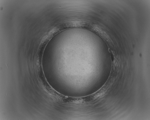 X0000068850306200605081222