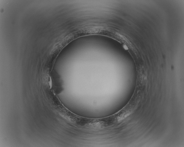 X0000068850307200605081222