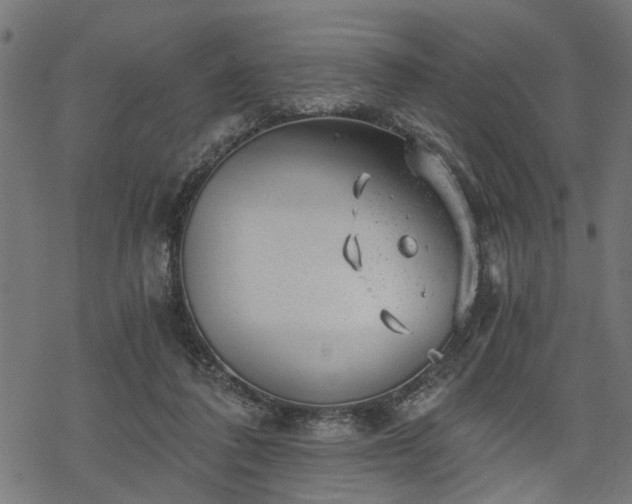 X0000068850308200605081222