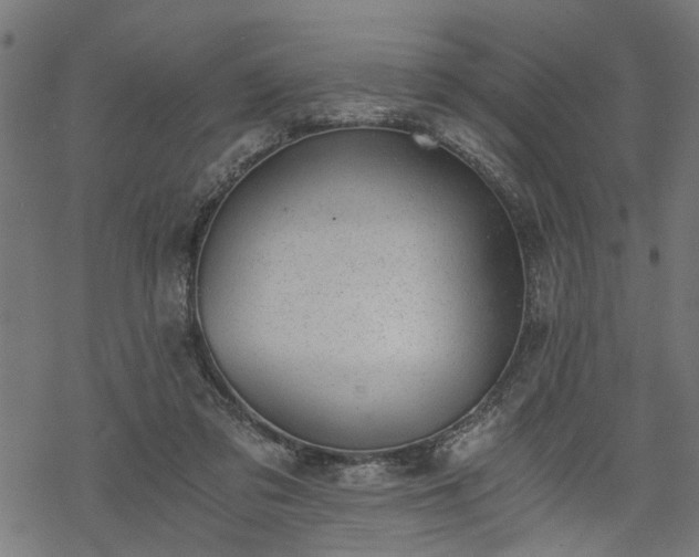 X0000068850309200605081222