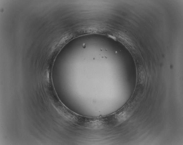 X0000068850310200605081222