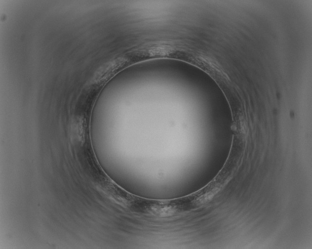 X0000068850311200605081222