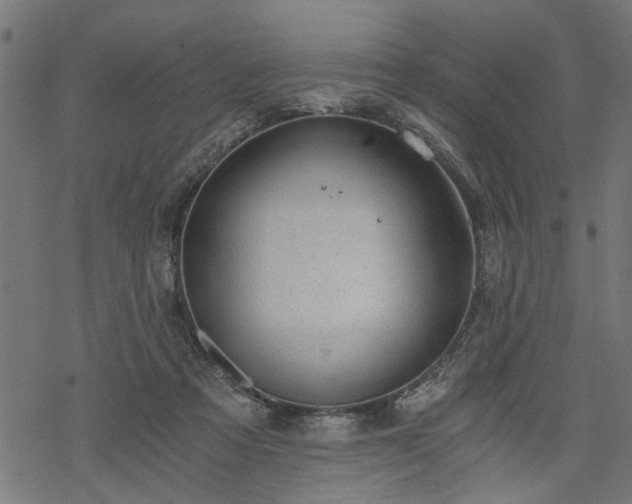 X0000068850313200605081221