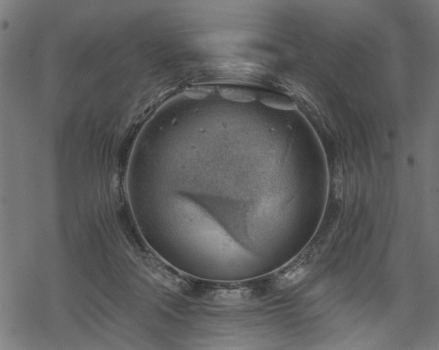 X0000068850314200605081221