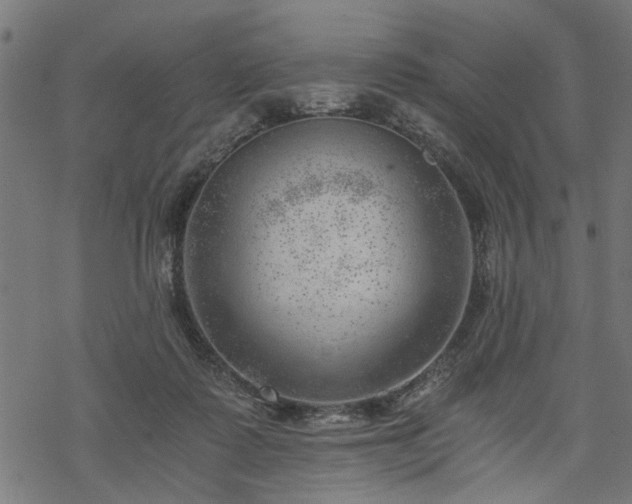 X0000068850315200605081221