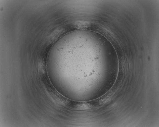 X0000068850316200605081221