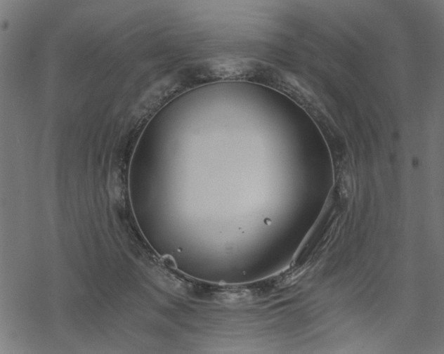 X0000068850317200605081221