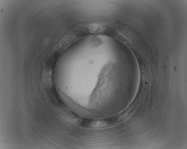 X0000068850319200605081221