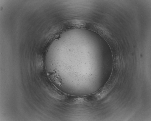 X0000068850320200605081221