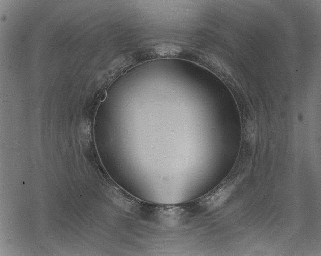 X0000068850321200605081221