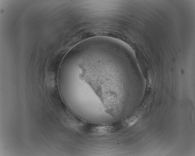 X0000068850323200605081221