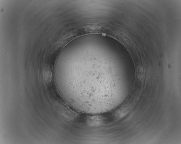 X0000068850324200605081221