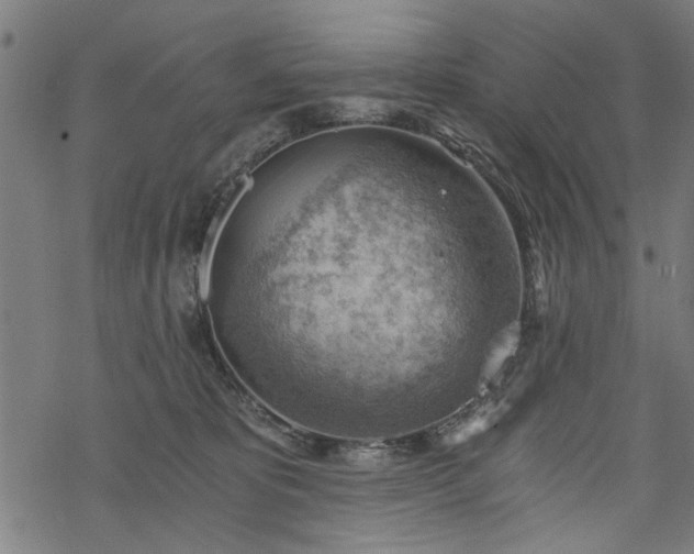 X0000068850325200605081221