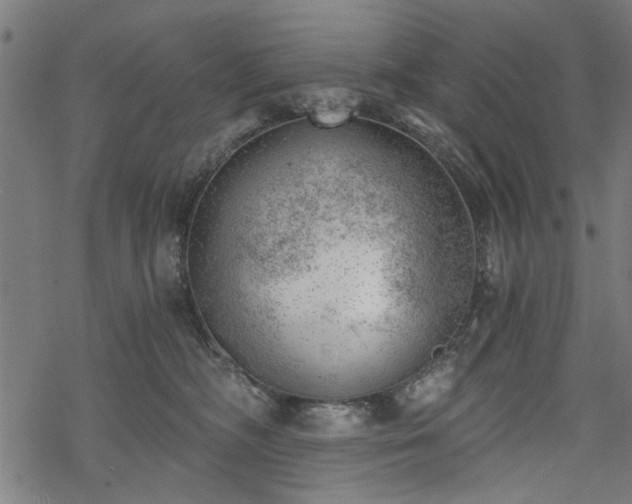 X0000068850326200605081221