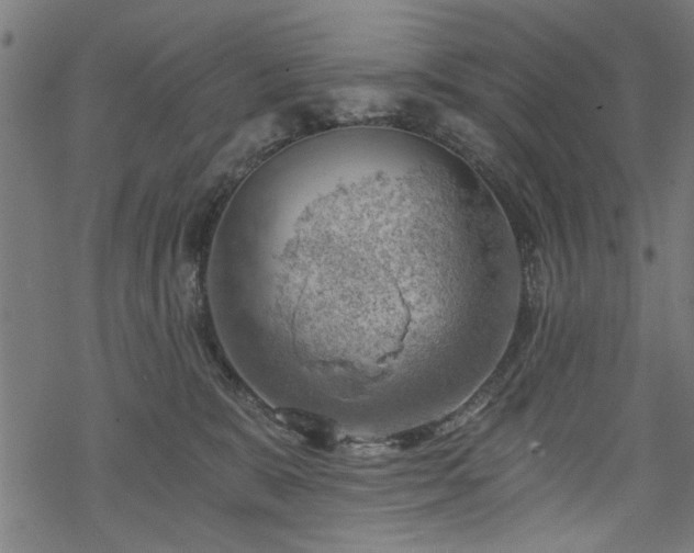 X0000068850327200605081221