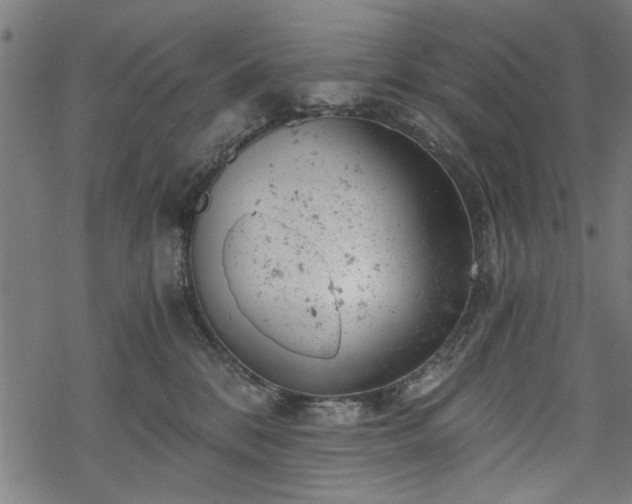 X0000068850328200605081221