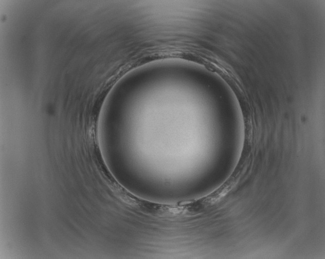 X0000068850329200605081221