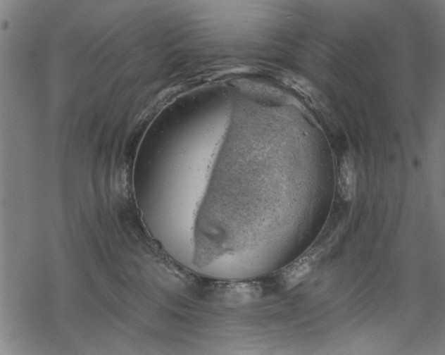 X0000068850330200605081221