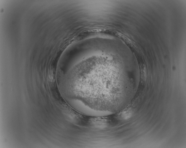 X0000068850331200605081221