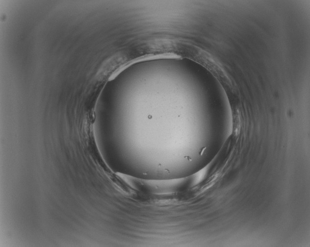 X0000068850333200605081221