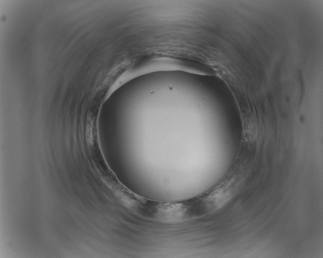 X0000068850334200605081221