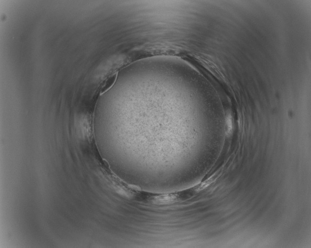 X0000068850335200605081221