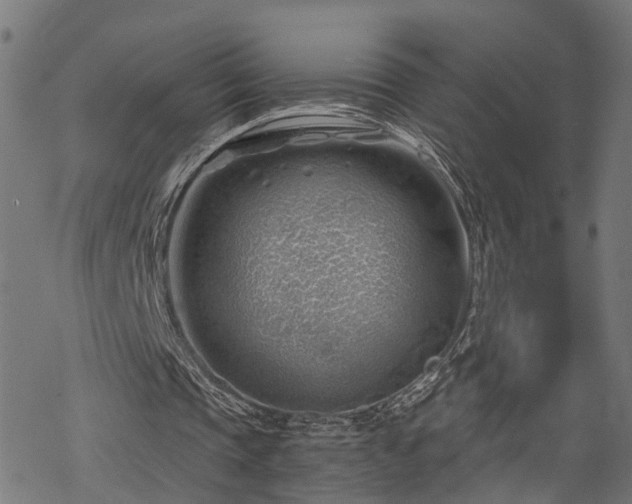 X0000068850337200605081220