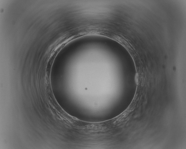 X0000068850338200605081220