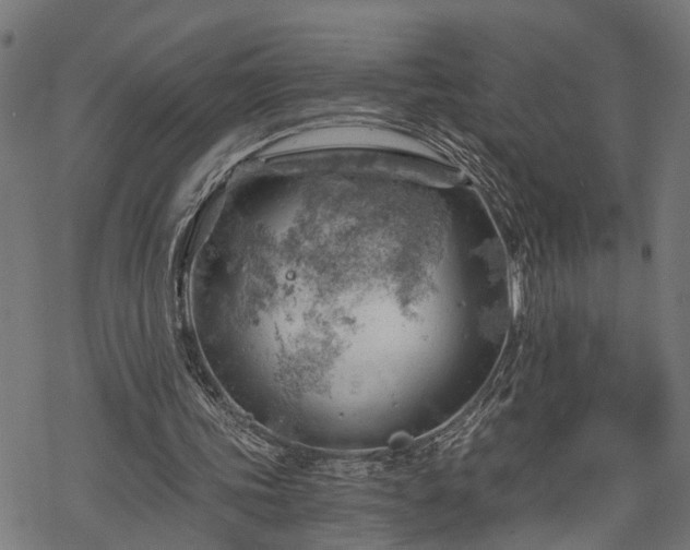 X0000068850339200605081220