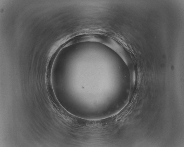 X0000068850340200605081220