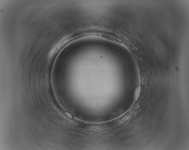 X0000068850341200605081220