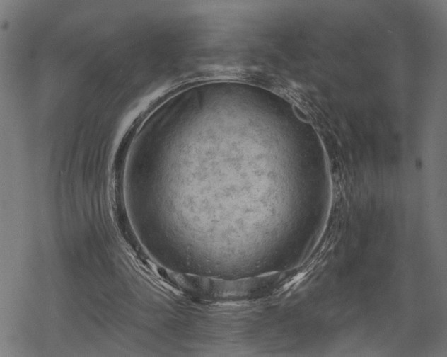 X0000068850342200605081220