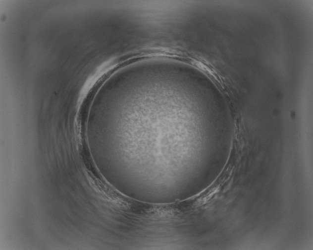 X0000068850343200605081220