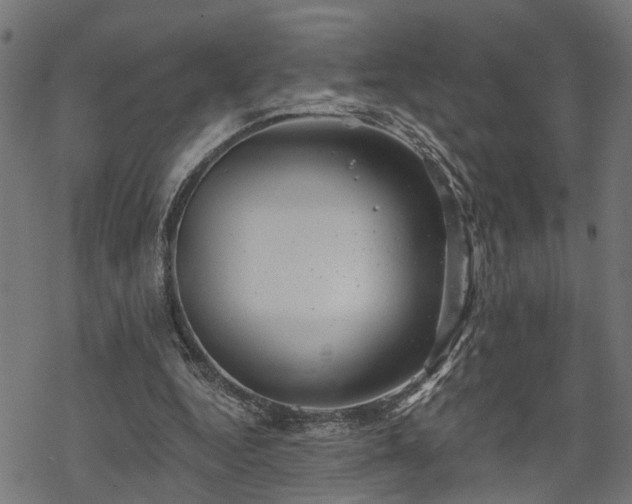 X0000068850344200605081220