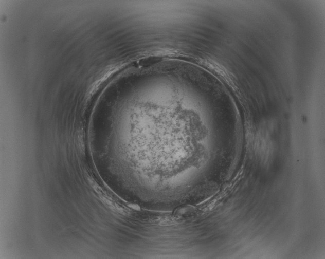 X0000068850345200605081220